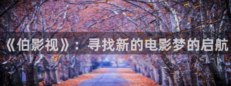 樱花视频在线观看电视剧高清：《伯影视》：寻找新的电影梦的启航