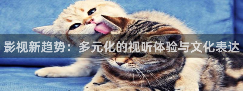 樱花视频18岁：影视新趋势：多元化的视听体验与文化表达