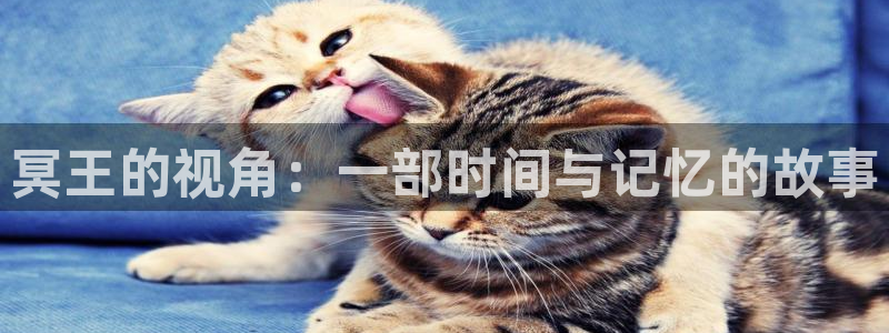 樱花视频 黄：冥王的视角：一部时间与记忆的故事