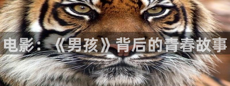www.36311樱花视频：电影：《男孩》背后的青春故事