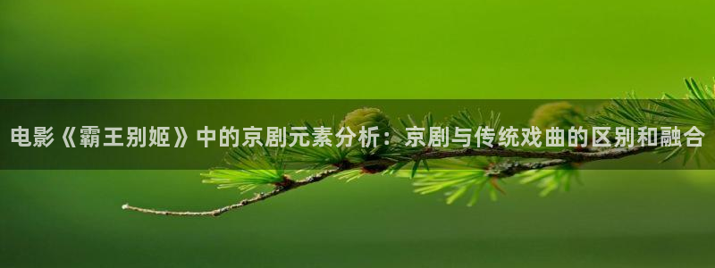 樱花视频免费观看下载：电影《霸王别姬》中的京剧元素分析：京剧与传统戏曲的区别和融合