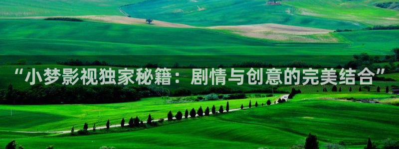 樱花影视电视剧电影：“小梦影视独家秘籍：剧情与创意的完美结合”