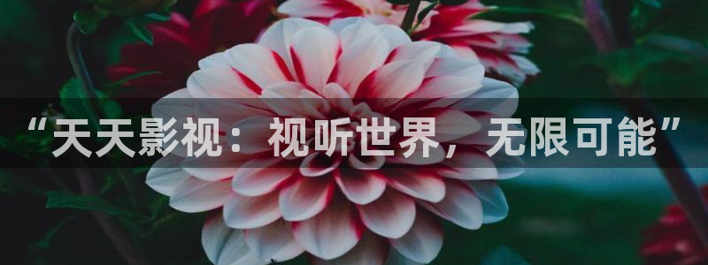 樱花视频在线播放：“天天影视：视听世界，无限可能”