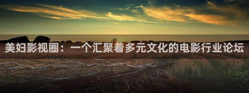 4138yy旧里番樱花影院：美妇影视圈：一个汇聚着多元文化的电影行业论坛