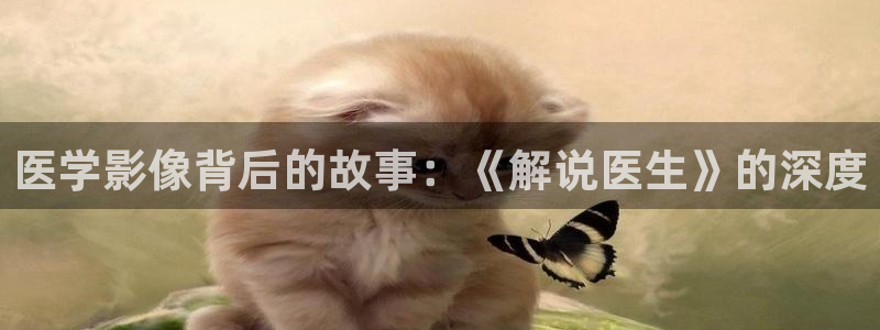 樱花视频在线观看免费观看：医学影像背后的故事：《解说医生》的深度