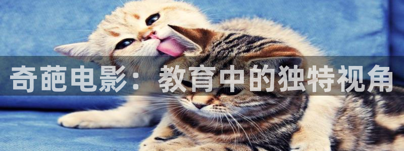樱花视频 视频
