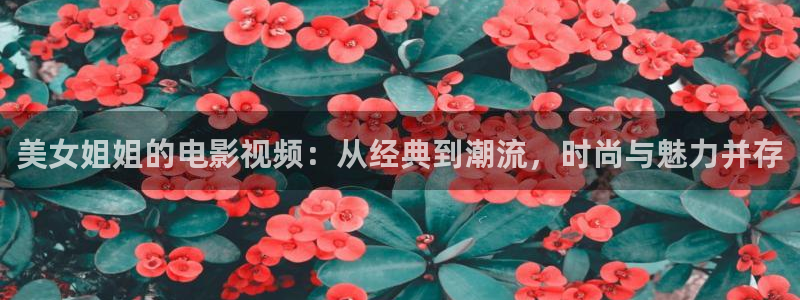 樱花视频下：美女姐姐的电影视频：从经典到潮流，时尚与魅力并存