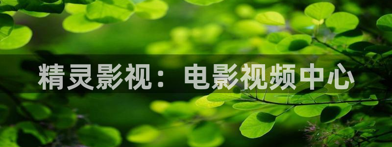 樱花影视免费完整版在线观看