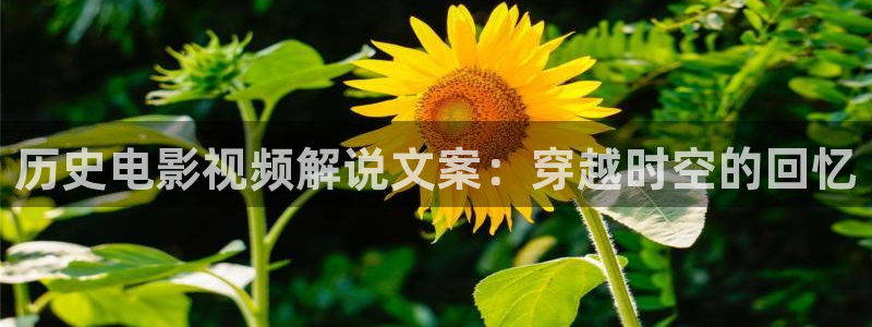樱花影视动漫