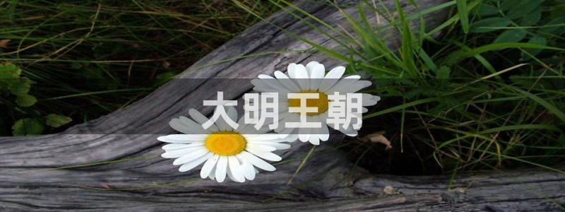 樱花影视院在线观看电视剧