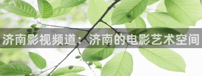 y樱花视频：济南影视频道：济南的电影艺术空间