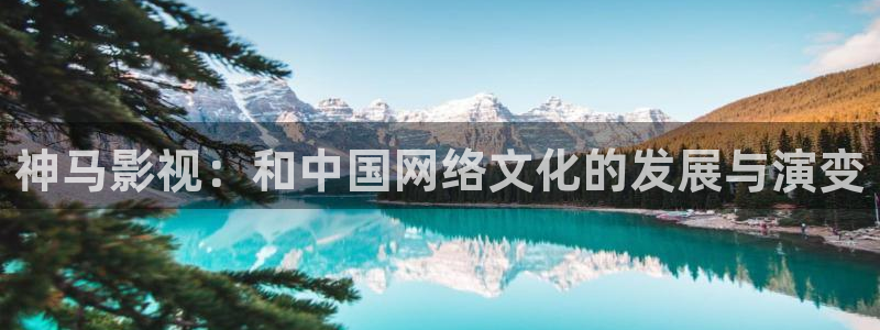 樱花视频搞基：神马影视：和中国网络文化的发展与演变