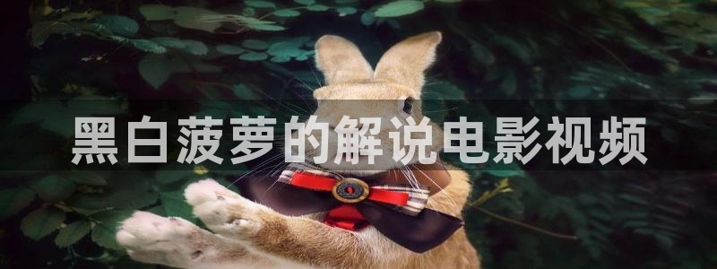 贤者之孙动漫樱花视频：黑白菠萝的解说电影视频