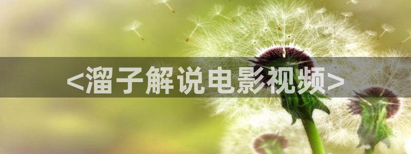 韩国樱花视频：<溜子解说电影视频>