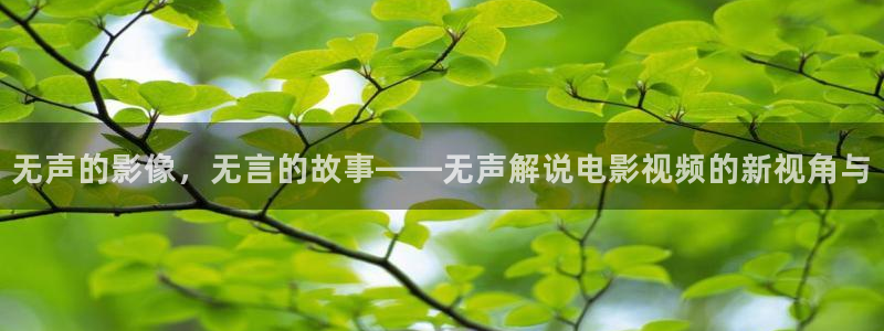 樱花影视在线观看视频：无声的影像，无言的故事——无声解说电影视频的新视角与