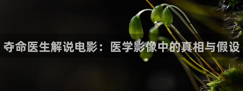 小樱花视频：夺命医生解说电影：医学影像中的真相与假设