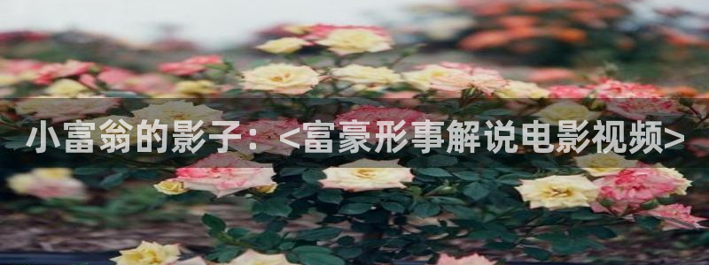 樱花影院高清电影好看的：小富翁的影子：<富豪形事解说电影视频>