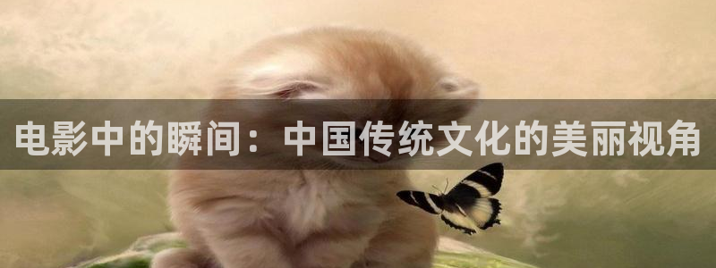 樱花视频v：电影中的瞬间：中国传统文化的美丽视角