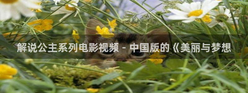 樱花影院app电视剧免费：解说公主系列电影视频 - 中国版的《美丽与梦想