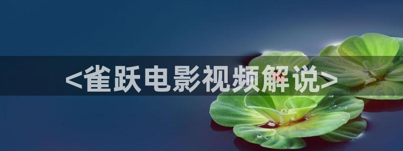 樱花视频app：<雀跃电影视频解说>