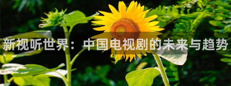 樱花视频 在线观看：新视听世界：中国电视剧的未来与趋势