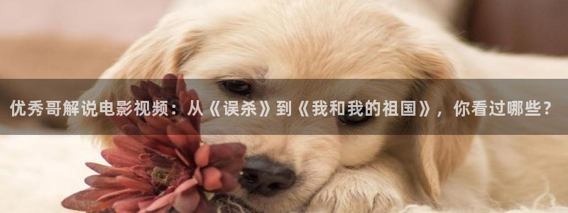 樱花影视在线观看电视剧全集免费播放：优秀哥解说电影视频：从《误杀》到《我和我的祖国》，你看过哪些？