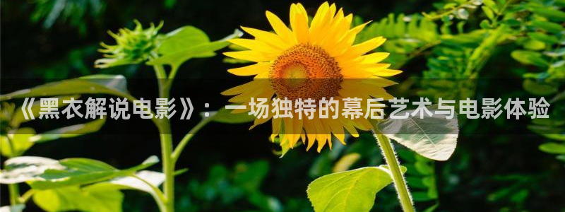 草莓视频樱花视频：《黑衣解说电影》：一场独特的幕后艺术与电影体验
