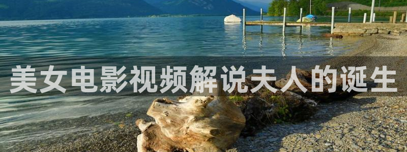 樱花视频在线观看全集免费高清版：美女电影视频解说夫人的诞生