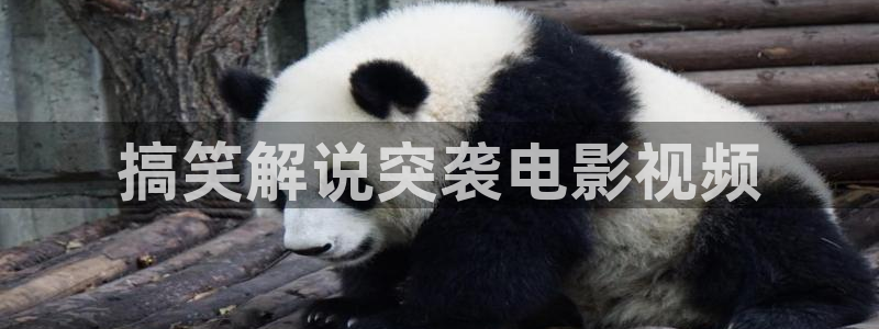 樱花视频全集：搞笑解说突袭电影视频