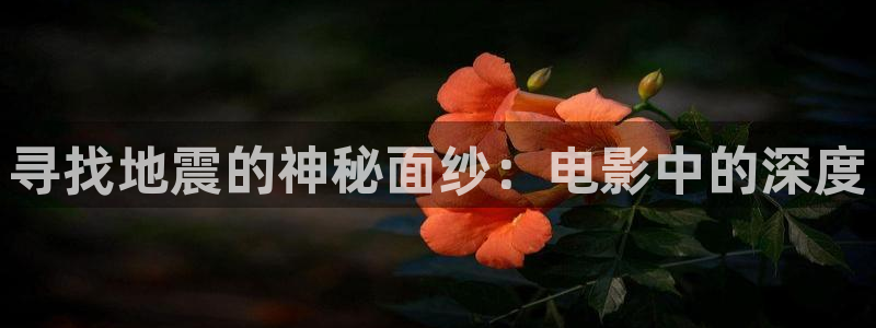 樱花视频大全免费：寻找地震的神秘面纱：电影中的深度