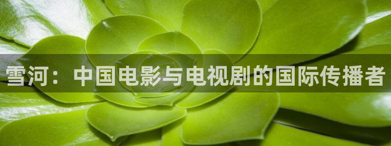 樱花视频的入口：雪河：中国电影与电视剧的国际传播者