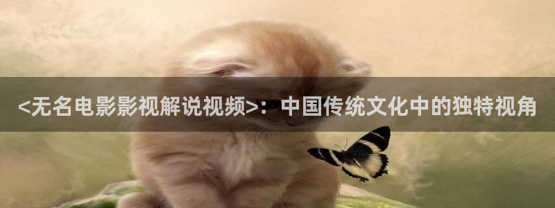 樱花视频2：<无名电影影视解说视频>：中国传统文化中的独特视角