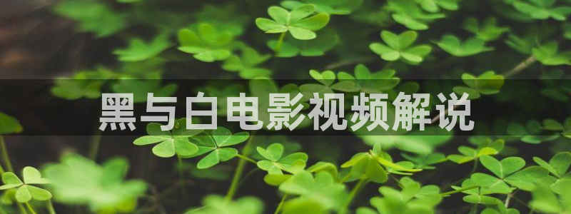 樱花视频免费入口：黑与白电影视频解说