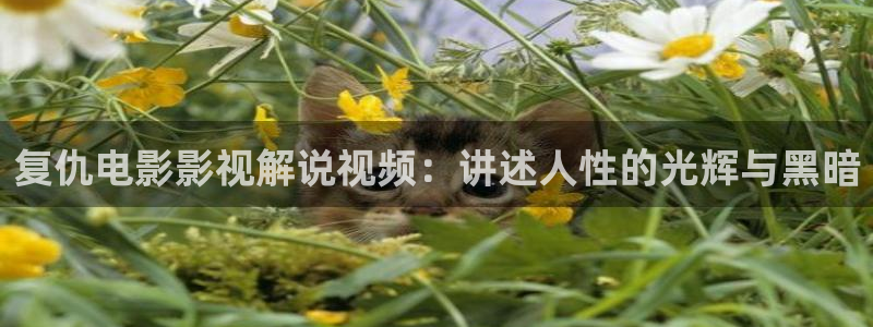 樱花视频在线观看网站：复仇电影影视解说视频：讲述人性的光辉与黑暗
