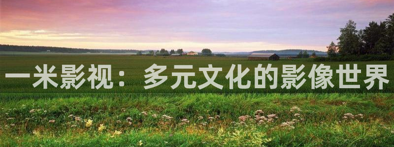 樱花影视频道：一米影视：多元文化的影像世界