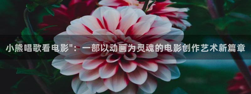 龙珠超高清免费看樱花影院：小熊唱歌看电影\